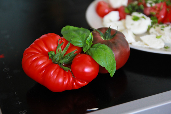 Tomates basilic