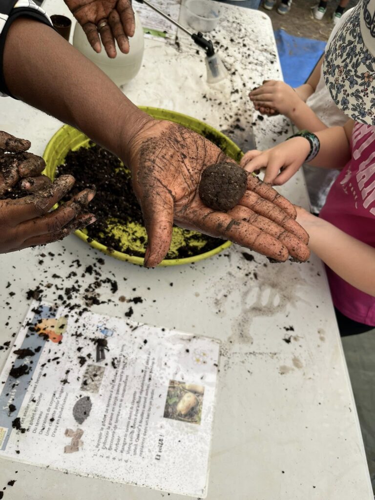 Atelier bombes à graines