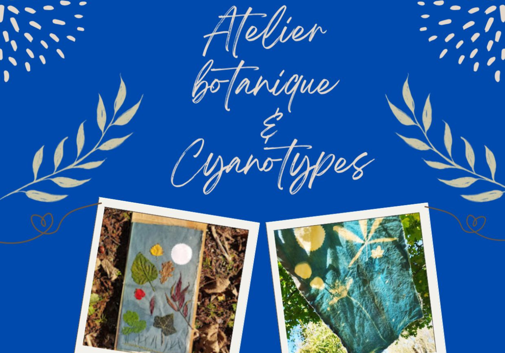 Selvatica - Atelier Botanique Cyanotype