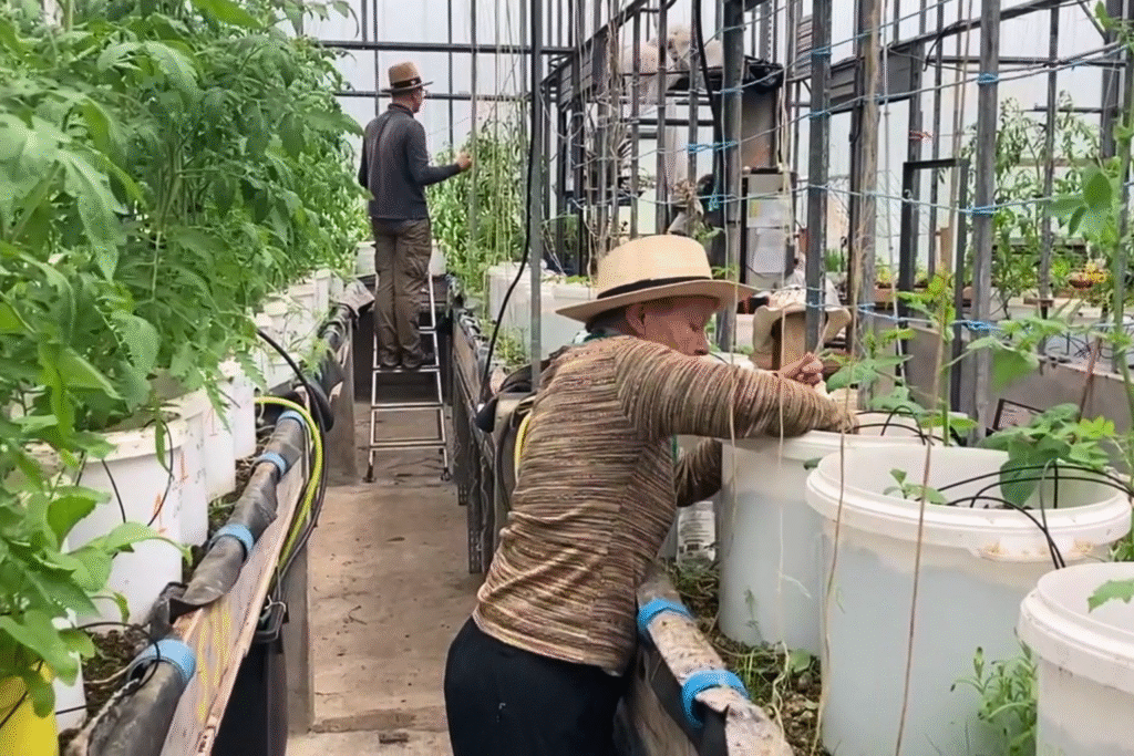 Portrait : Nicole & Joël