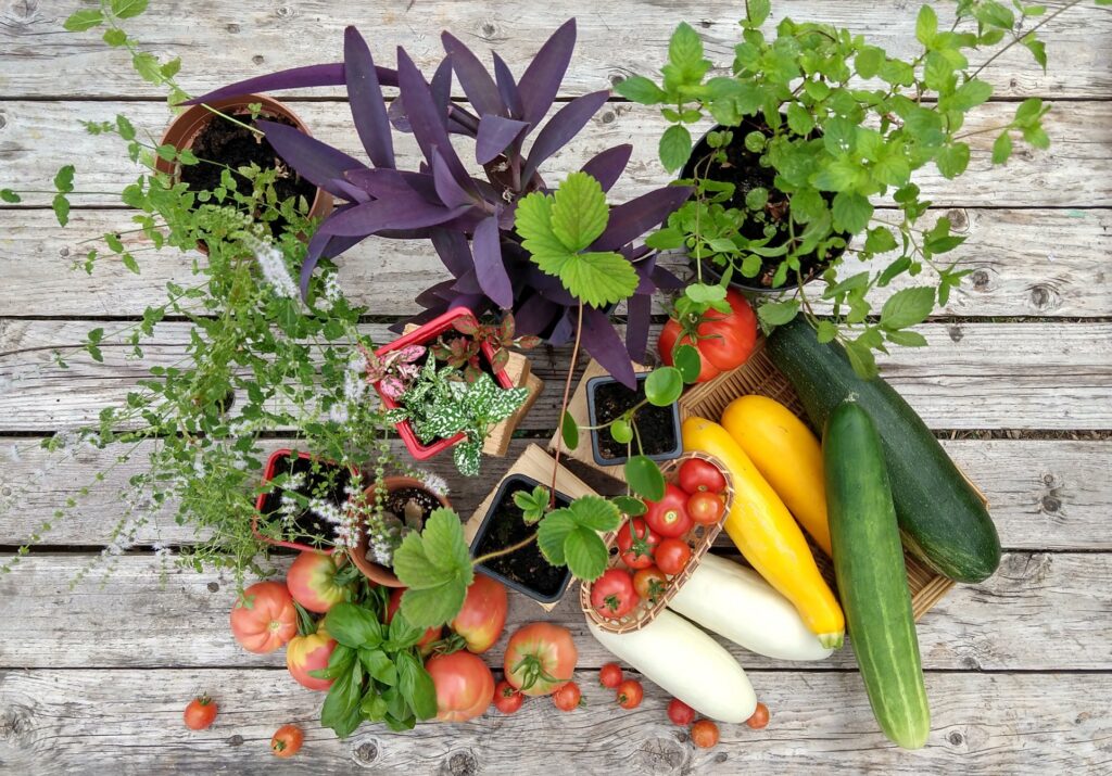 Le marché de V'île fertile